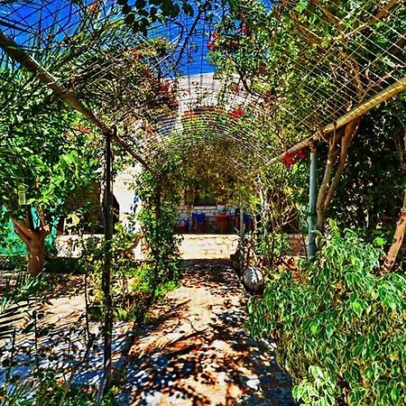 Studio Epar.od. Chosiariou-gerolimena Διαμέρισμα *